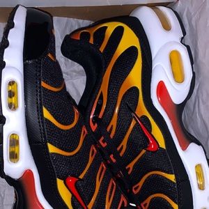 Nike air max plus !